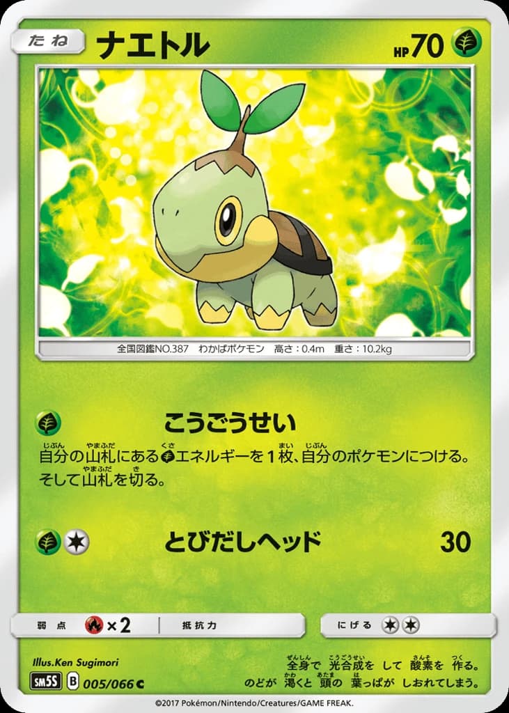 Turtwig (5)