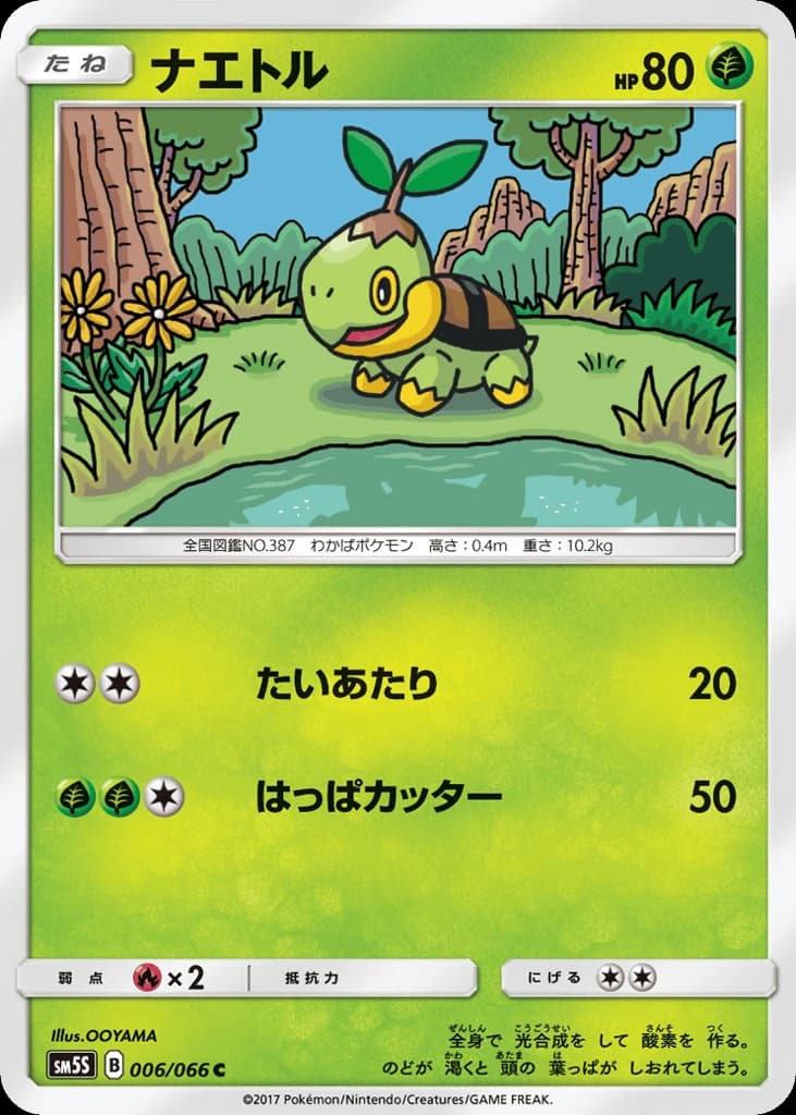 Turtwig (6)