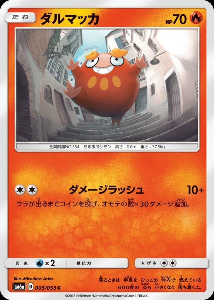 Darumaka (5)