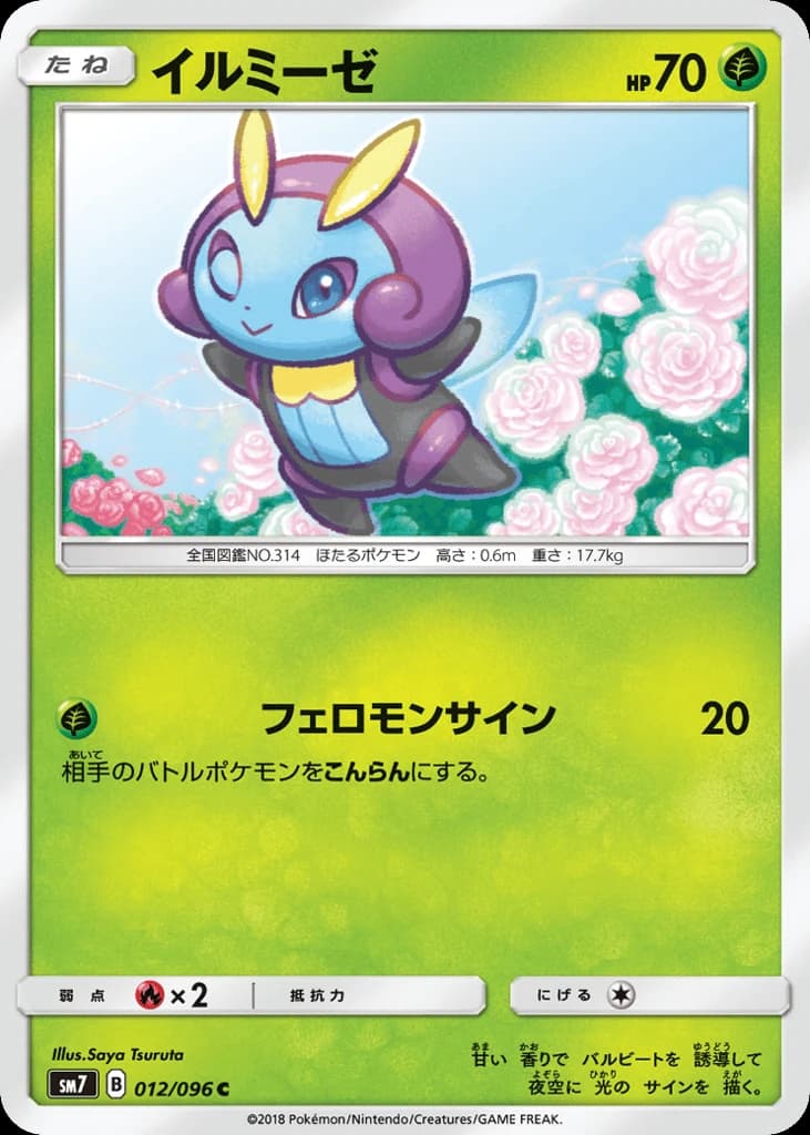 Illumise (12)