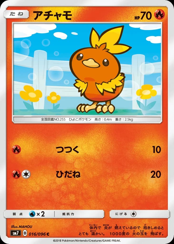 Torchic (16)