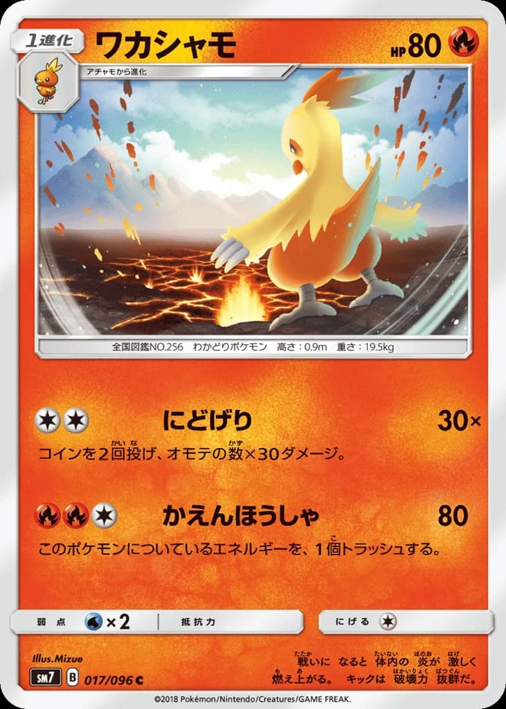Combusken (17)