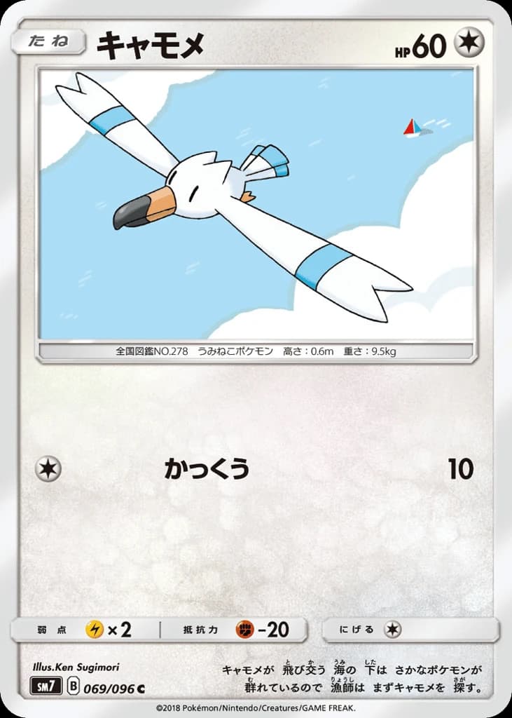 Wingull (69)