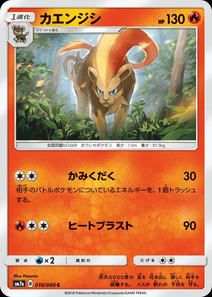 Pyroar (16)