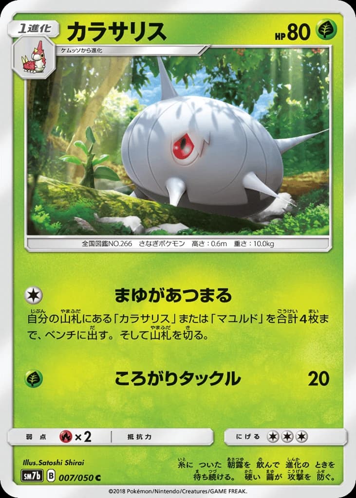 Silcoon (7)