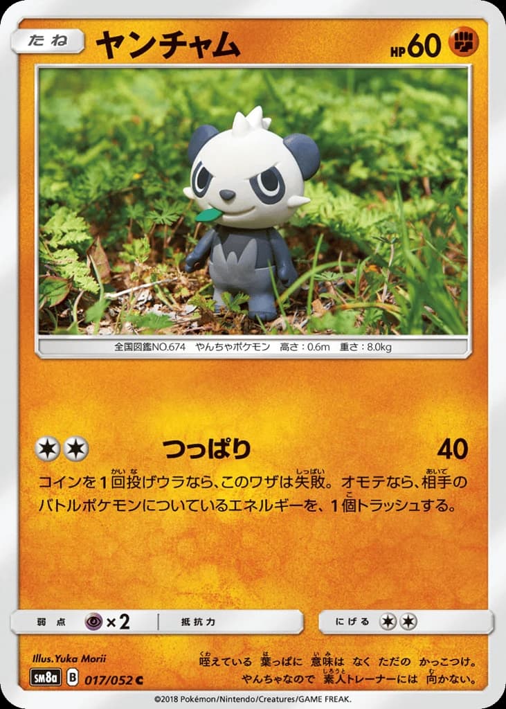 Pancham (17)