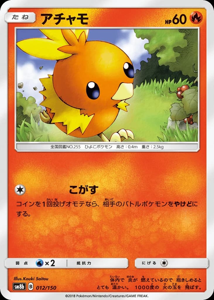 Torchic (12)