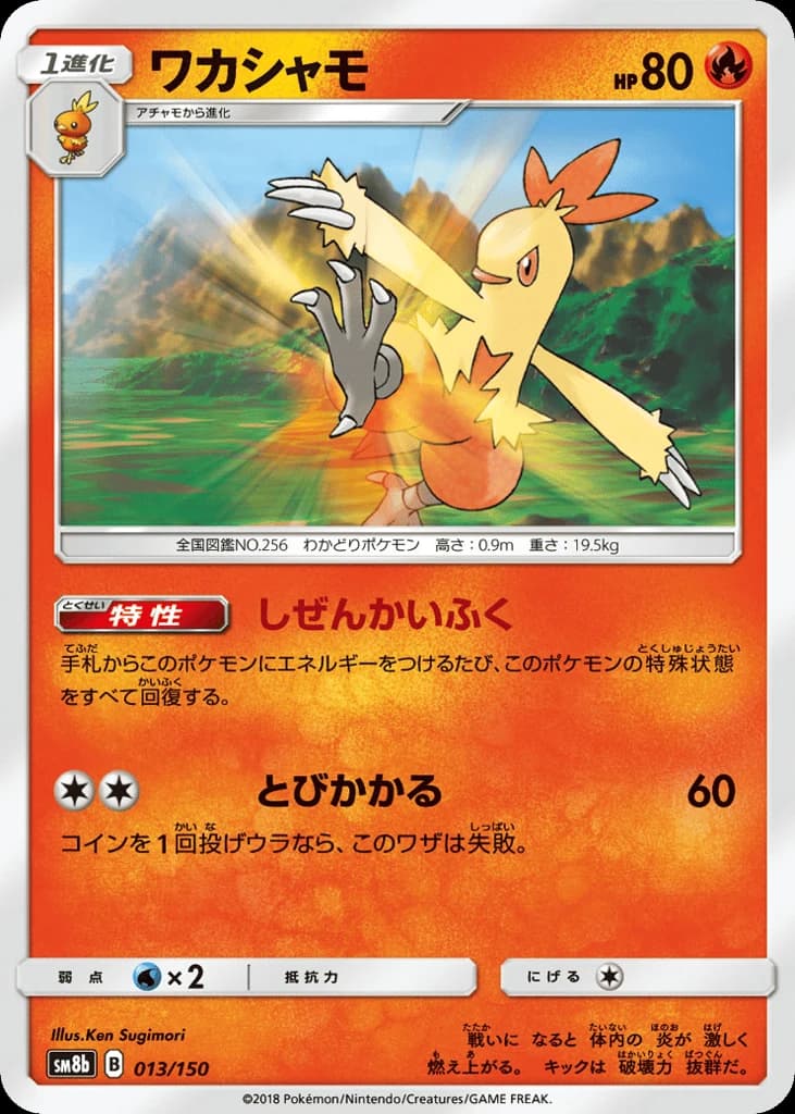 Combusken (13)