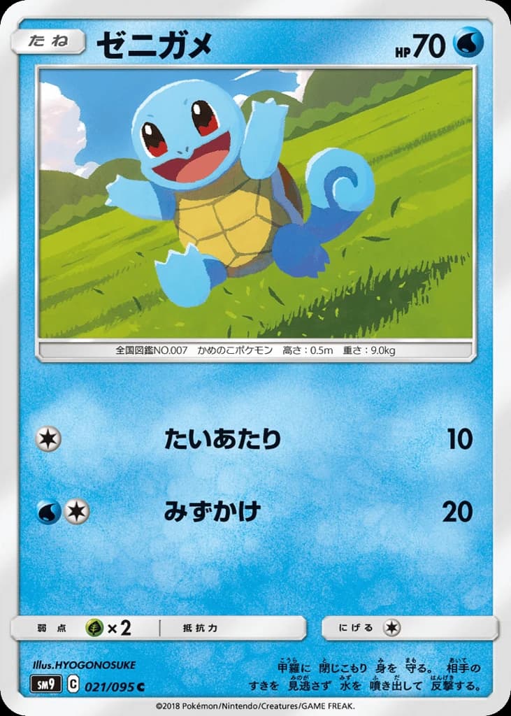 Squirtle (21)