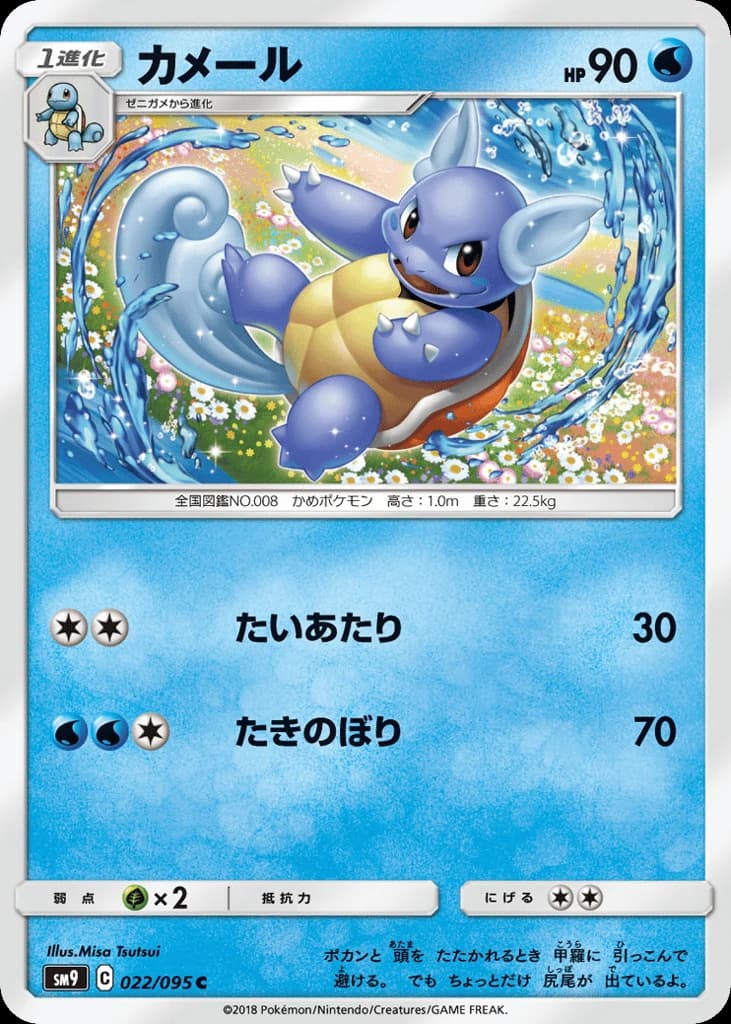 Wartortle (22)