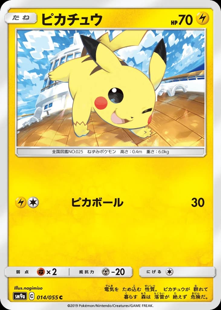 Pikachu (14)