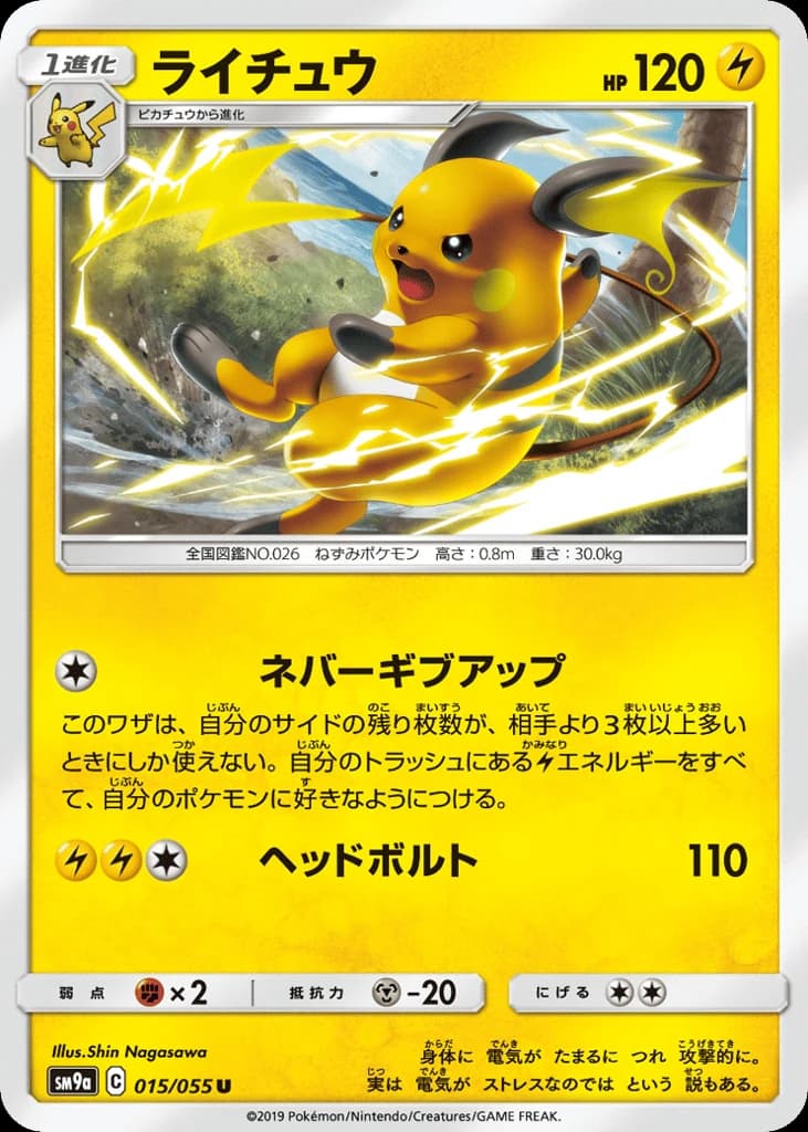 Raichu (15)