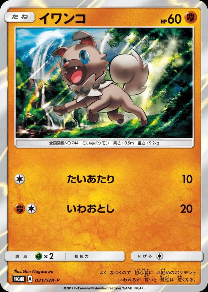 Rockruff (21)
