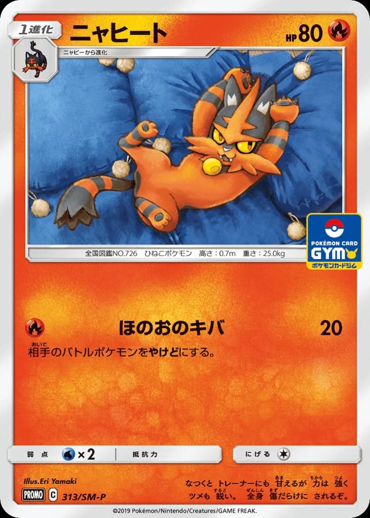 Torracat (313)