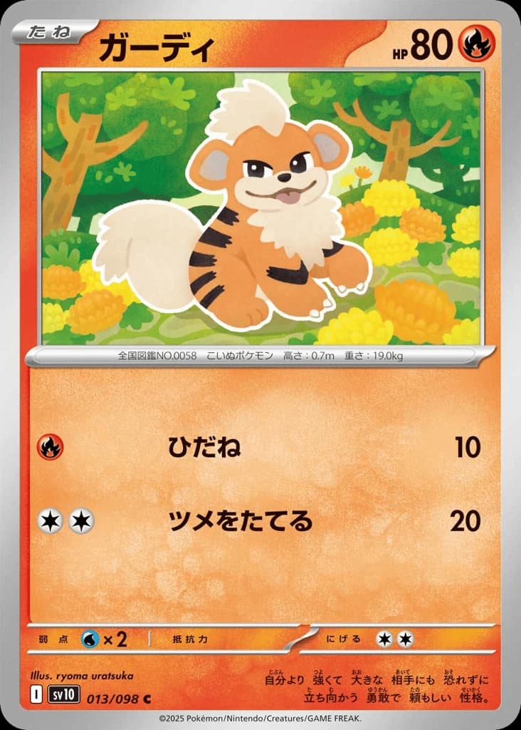 Growlithe (13)