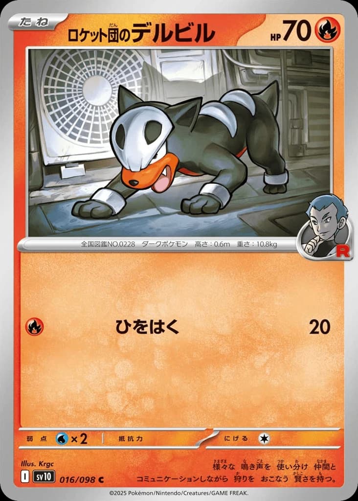 Team Rocket's Houndour (16)