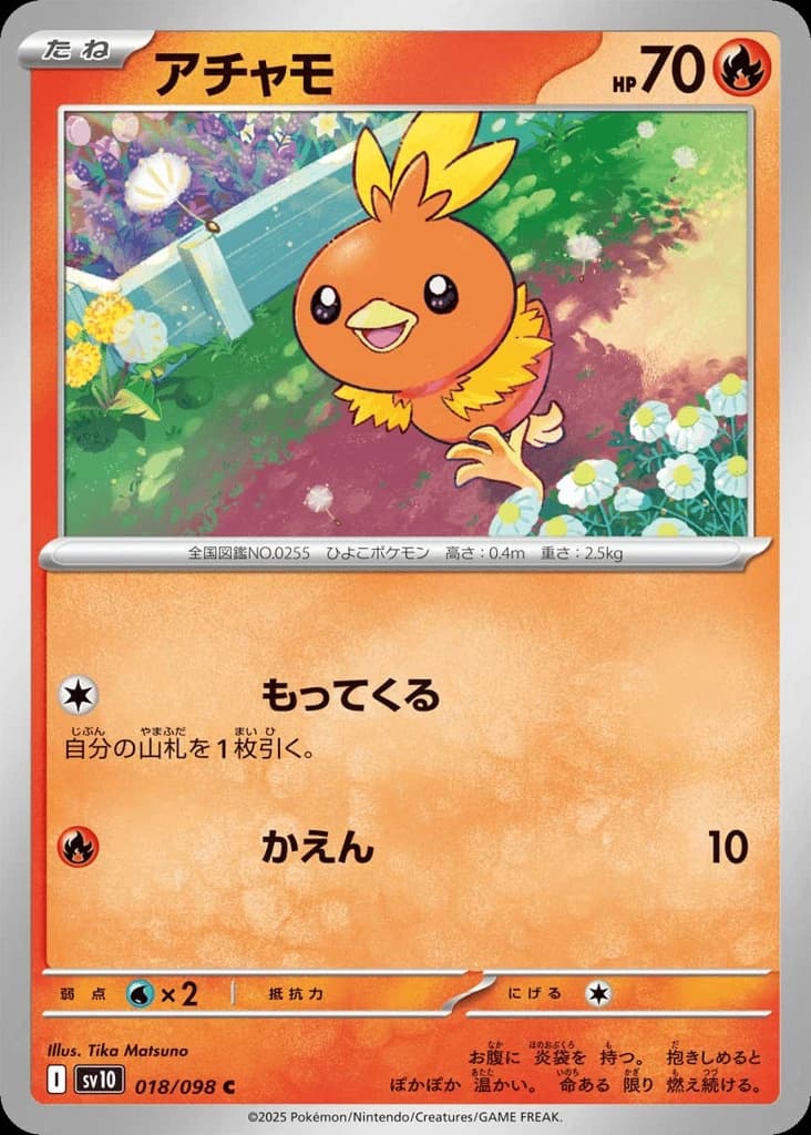 Torchic (18)