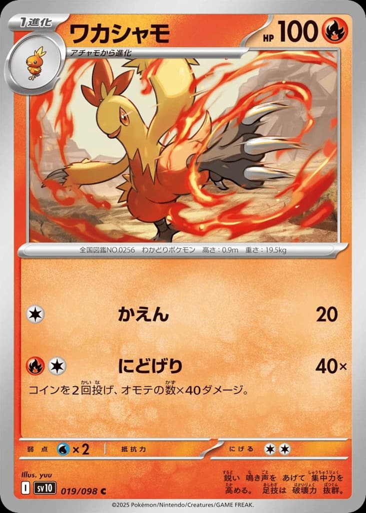 Combusken (19)