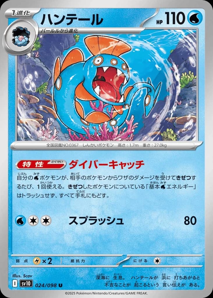 Huntail (24)