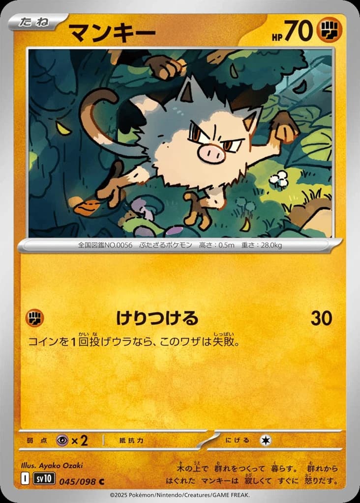 Mankey (45)