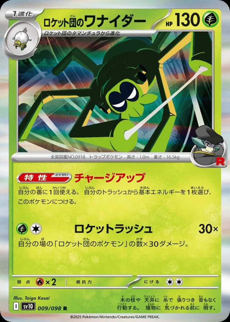 Team Rocket's Spidops (9)