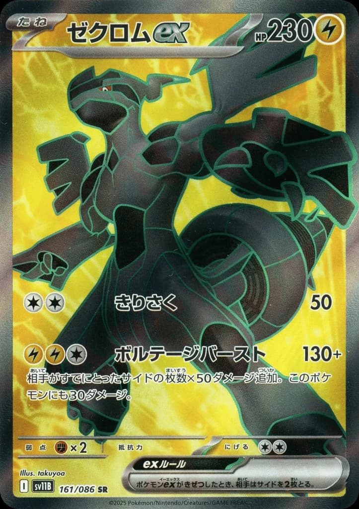Zekrom ex (161)