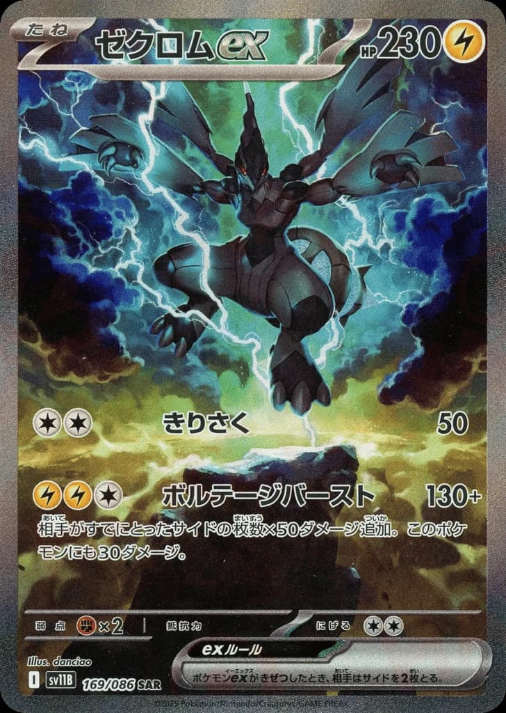Zekrom ex (169)
