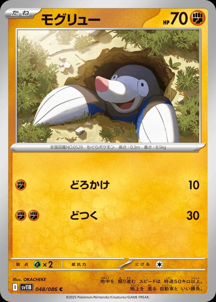 Drilbur (48)