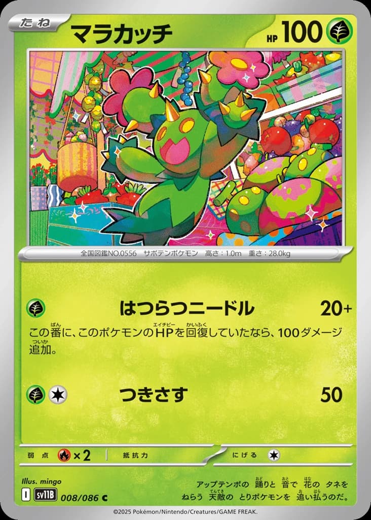 Maractus (8)