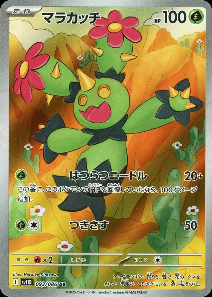 Maractus (93)