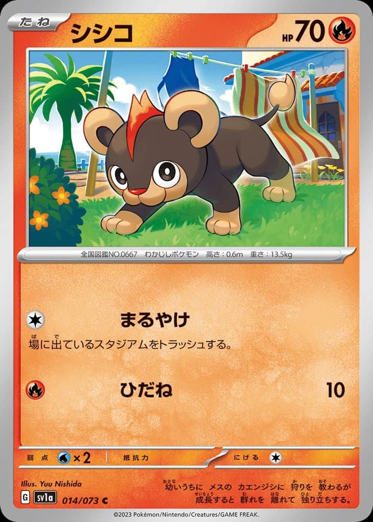 Litleo (14)