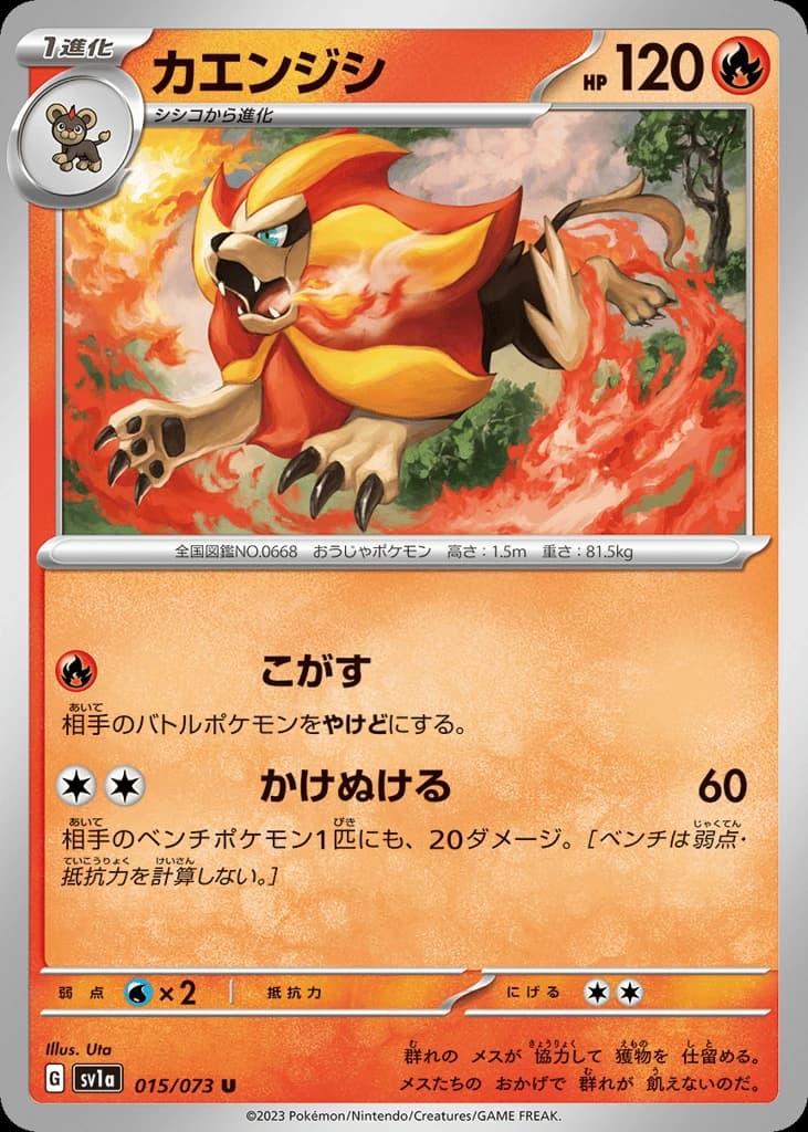 Pyroar (15)