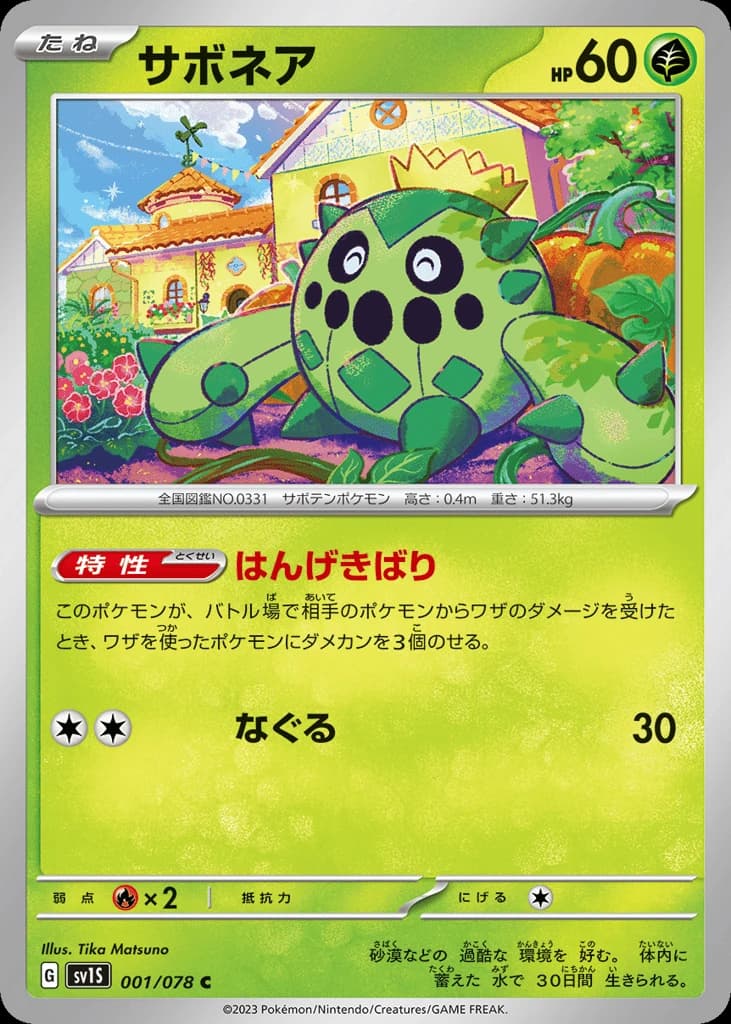Cacnea (1)