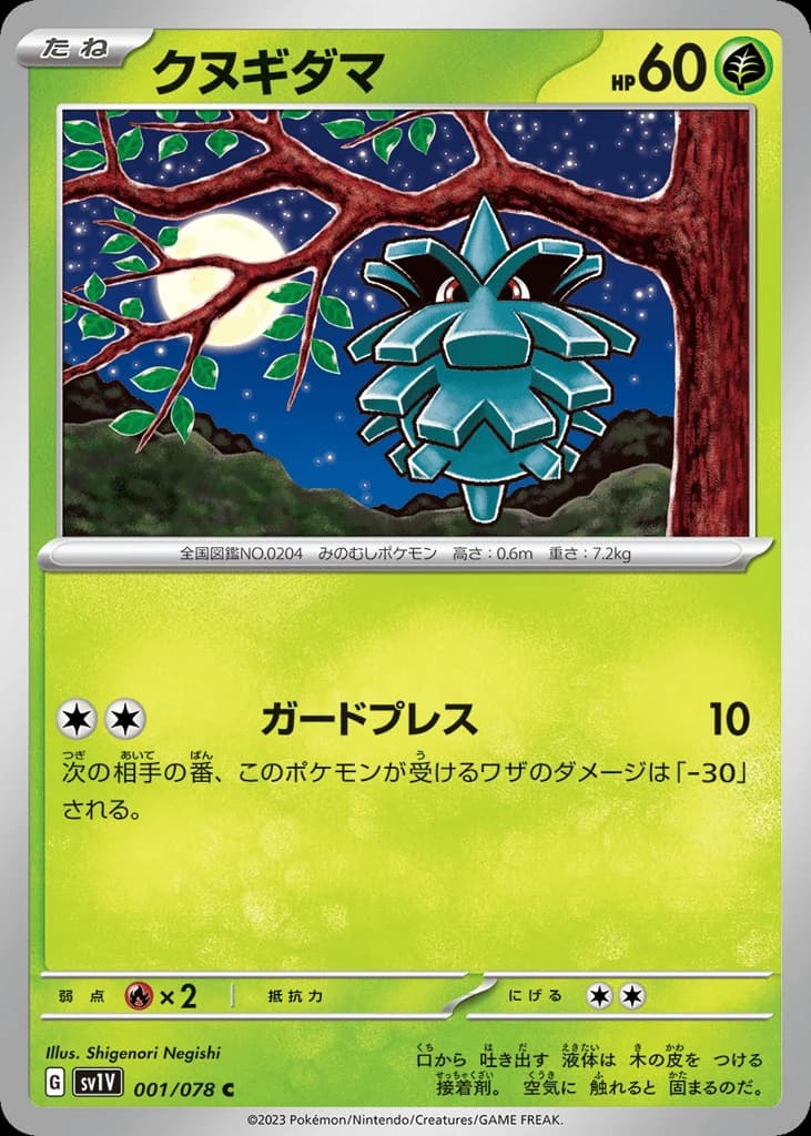 Pineco (1)