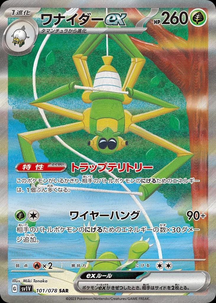 Spidops ex (101)
