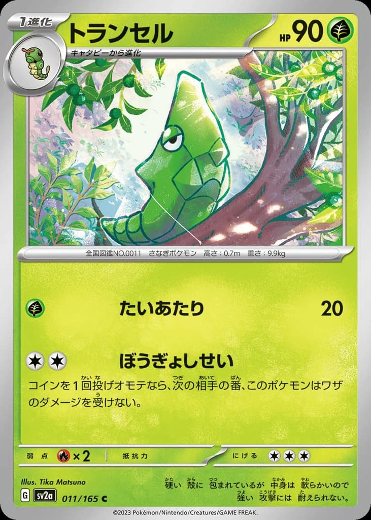 Metapod (11)