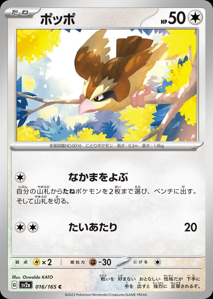 Pidgey (16)