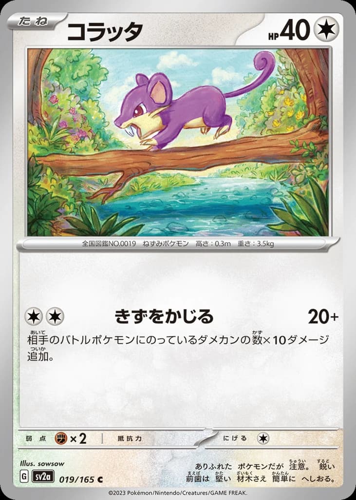 Rattata (19)