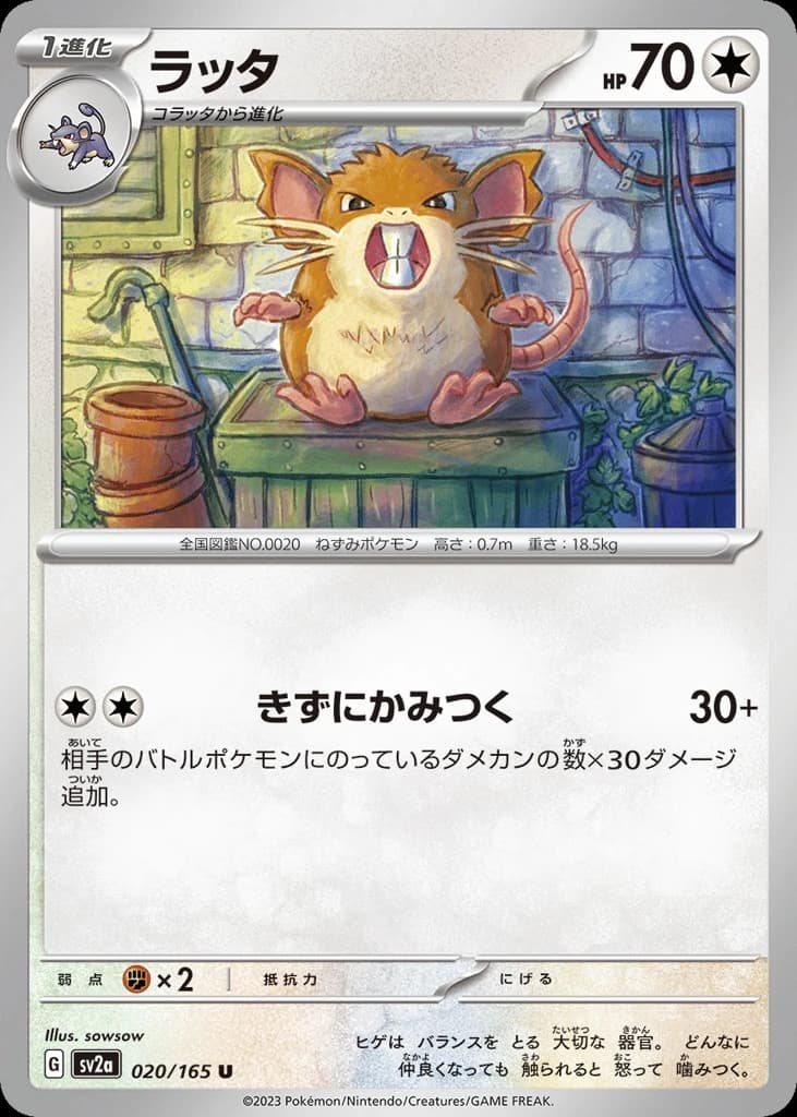 Raticate (20)