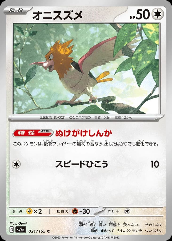 Spearow (21)