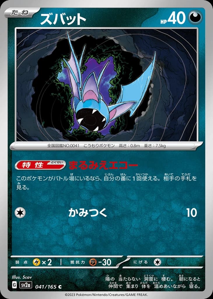 Zubat (41)