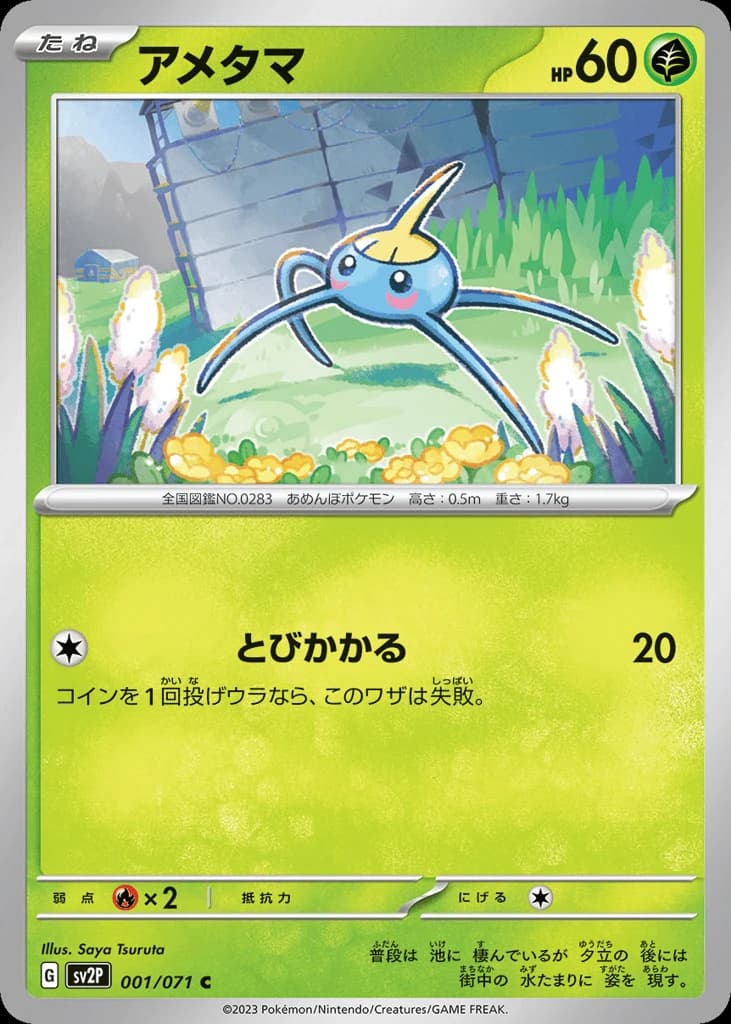 Surskit (1)