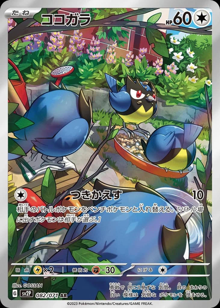 Rookidee (82)