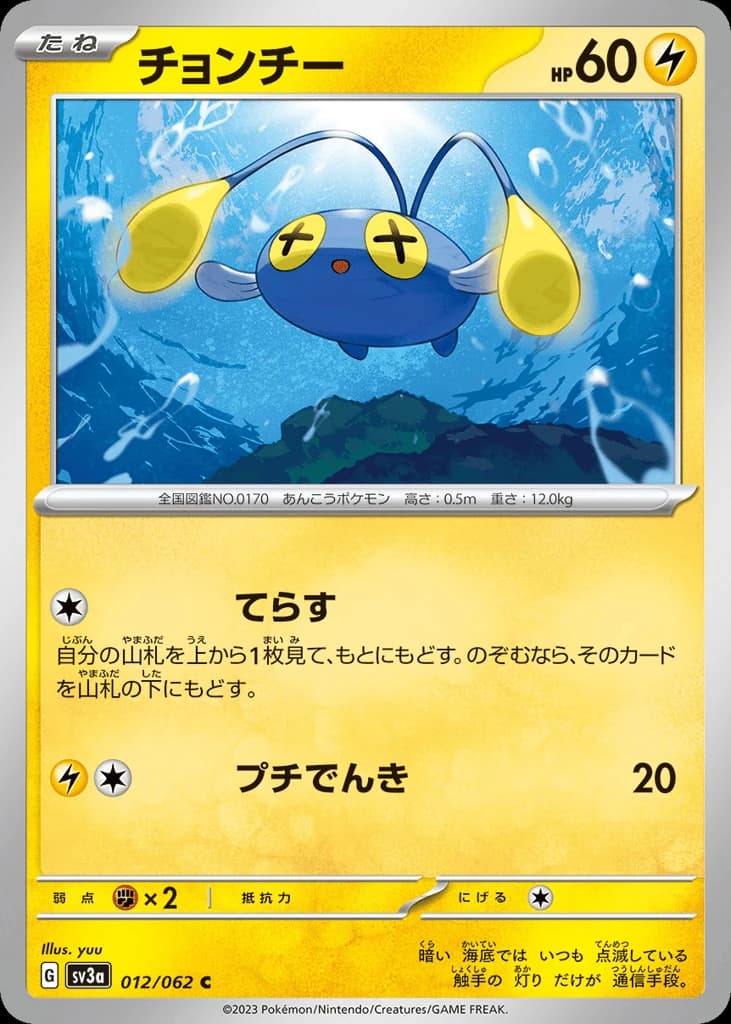 Chinchou (12)