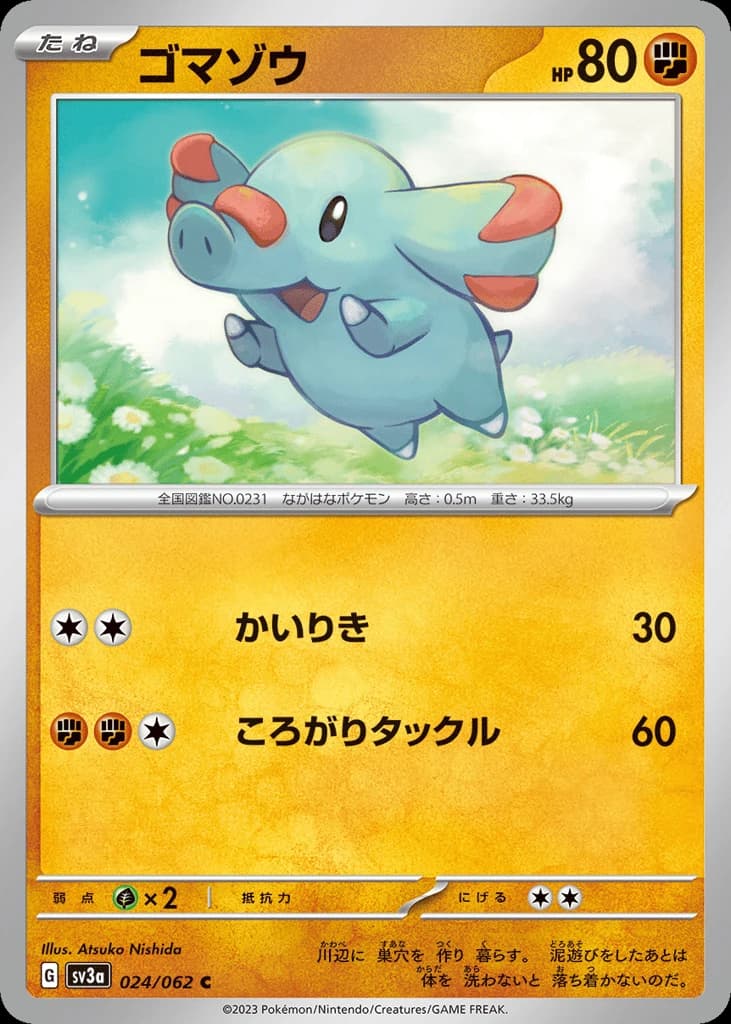 Phanpy (24)
