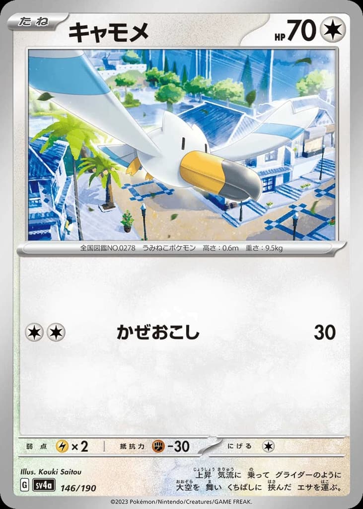 Wingull (146)