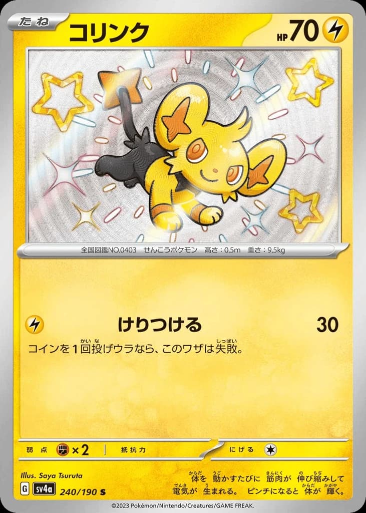 Shinx (240)