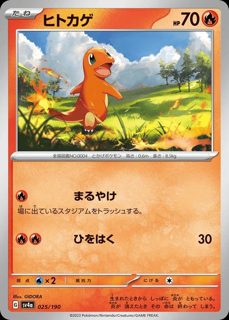 Charmander (25)