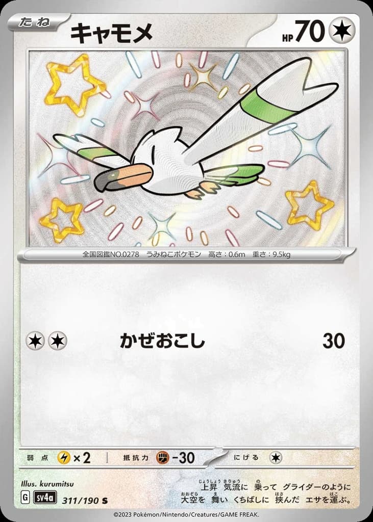 Wingull (311)