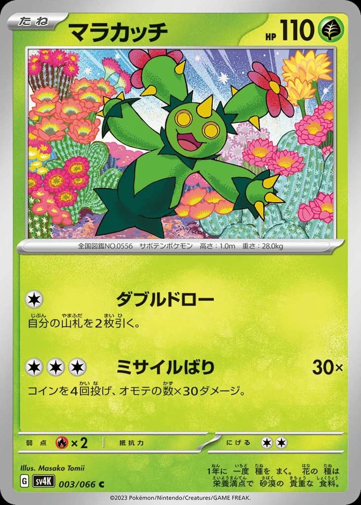 Maractus (3)